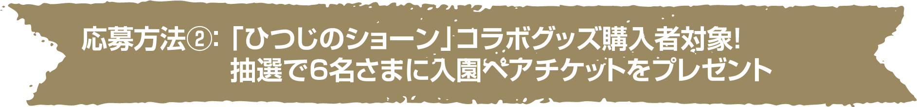 応募方法②： ひつじのショーンコラボグッズ購入者対象！抽選で6名さまに入園ペアチケットをプレゼント