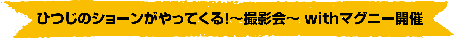 ひつじのショーンがやってくる！～撮影会～ withマグニー開催